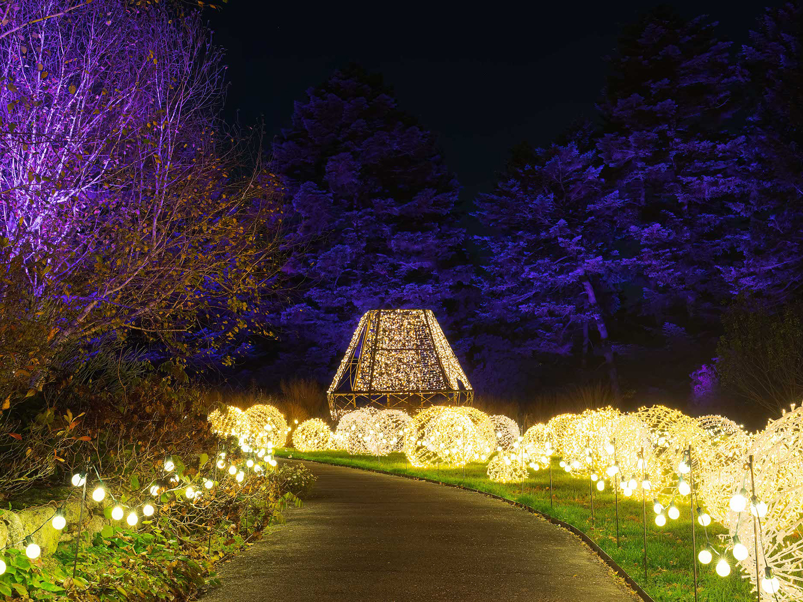 NYBG GLOW: An Outdoor Color & Light Experience: What to expect - 5