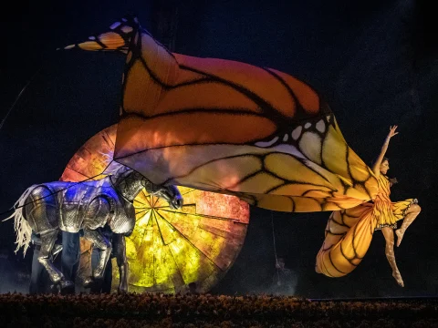 Cirque du Soleil: LUZIA: What to expect - 2