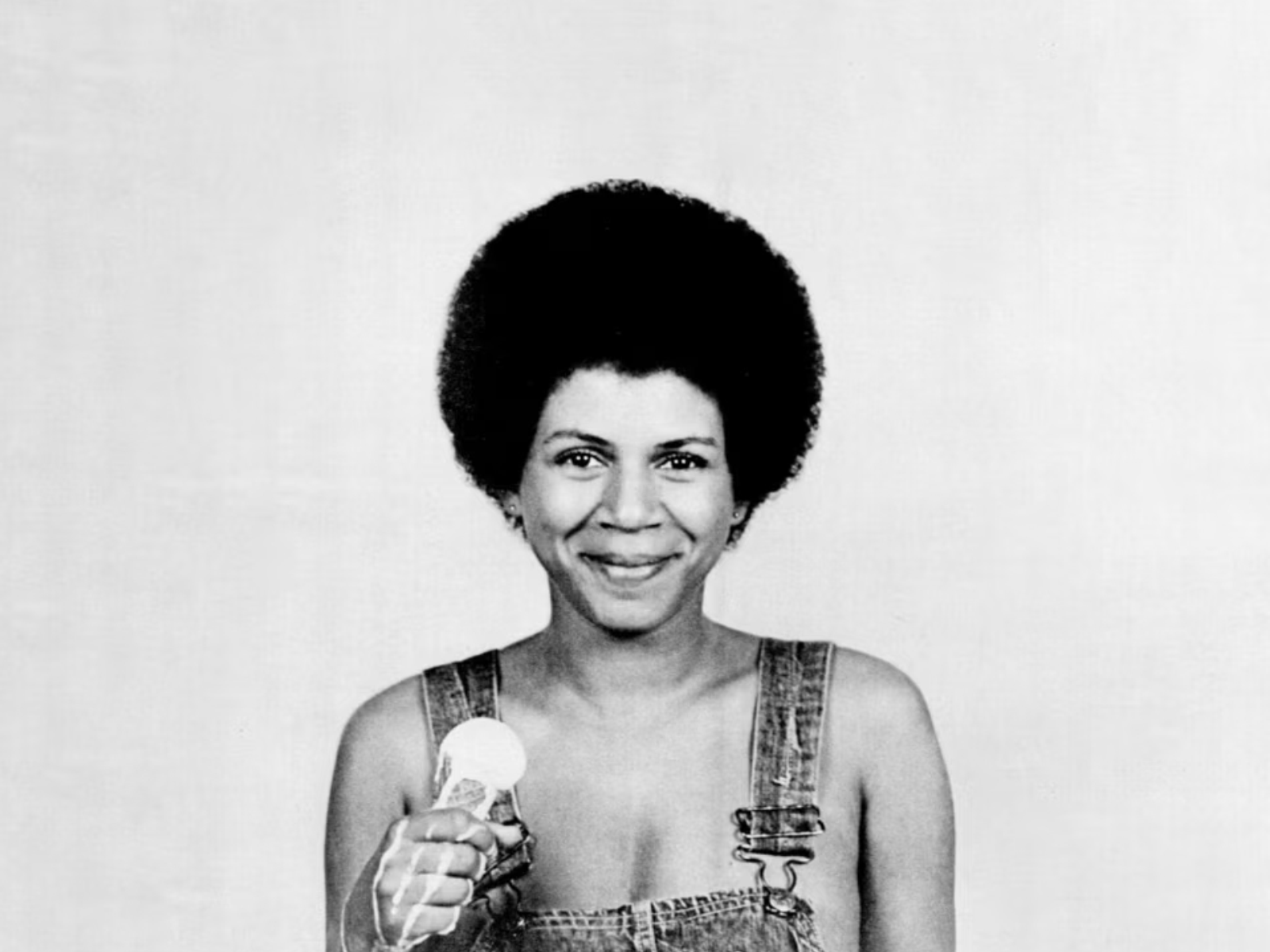 Perfect Angel: The Definitive Minnie Riperton Tribute: What to expect - 1