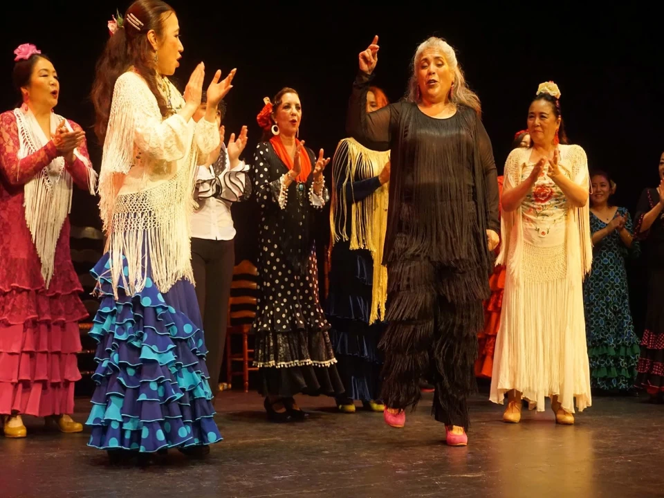 Flamenco in concert: What to expect - 1
