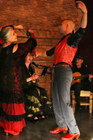 Flamenco in concert