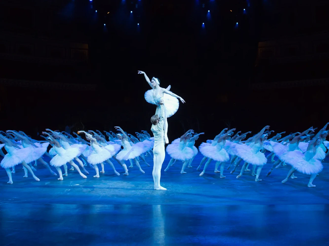 Swan Lake in-the-round: What to expect - 4