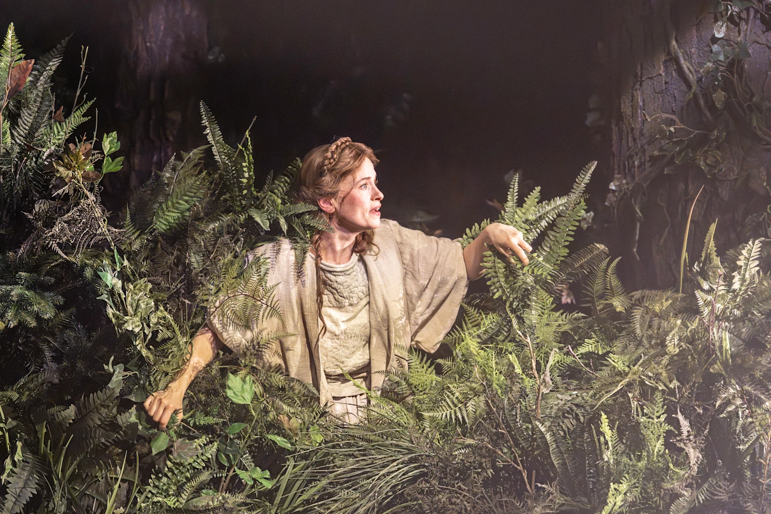 Into the Woods: What to expect - 2