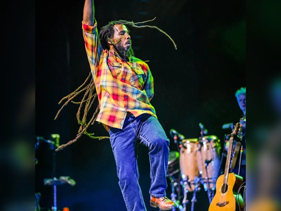 Reggae Night XXIV: What to expect - 1