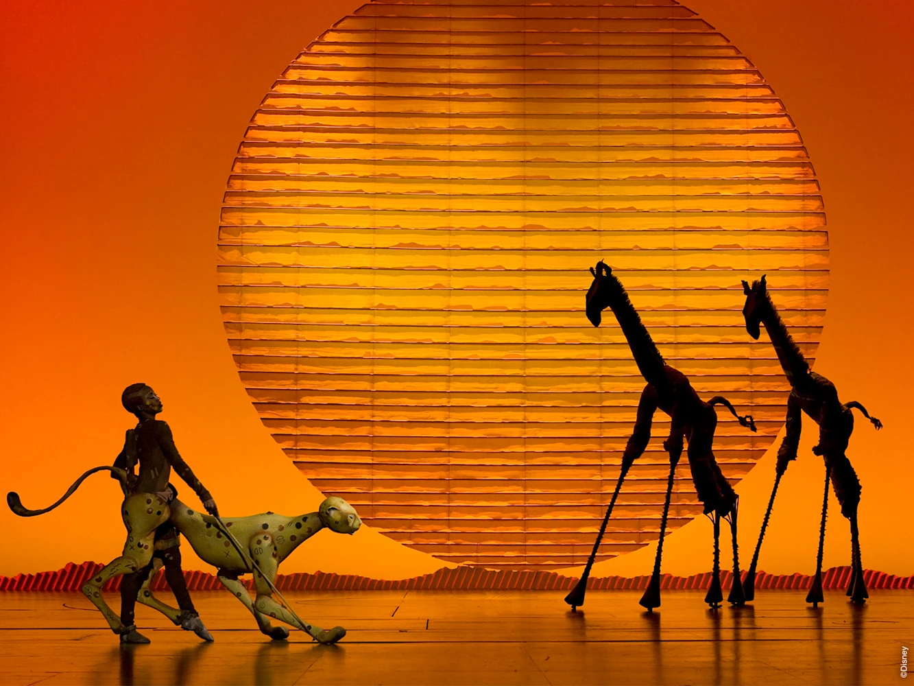 THE LION KING: What to expect - 5