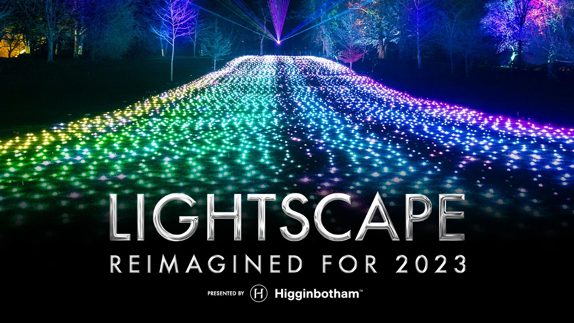 Lightscape: What to expect - 1
