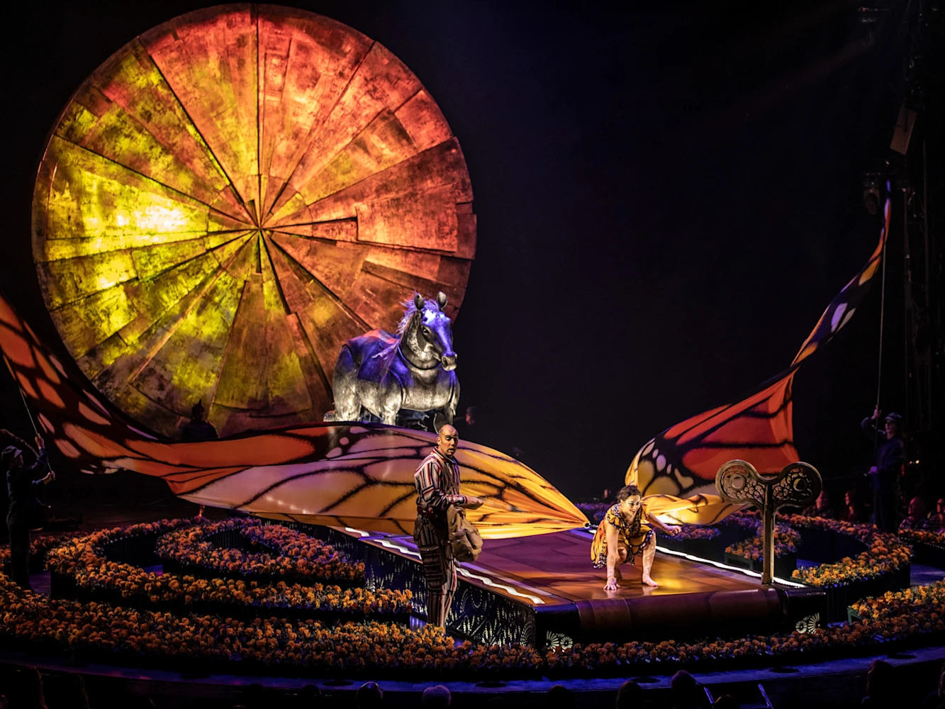 Cirque du Soleil: LUZIA: What to expect - 2