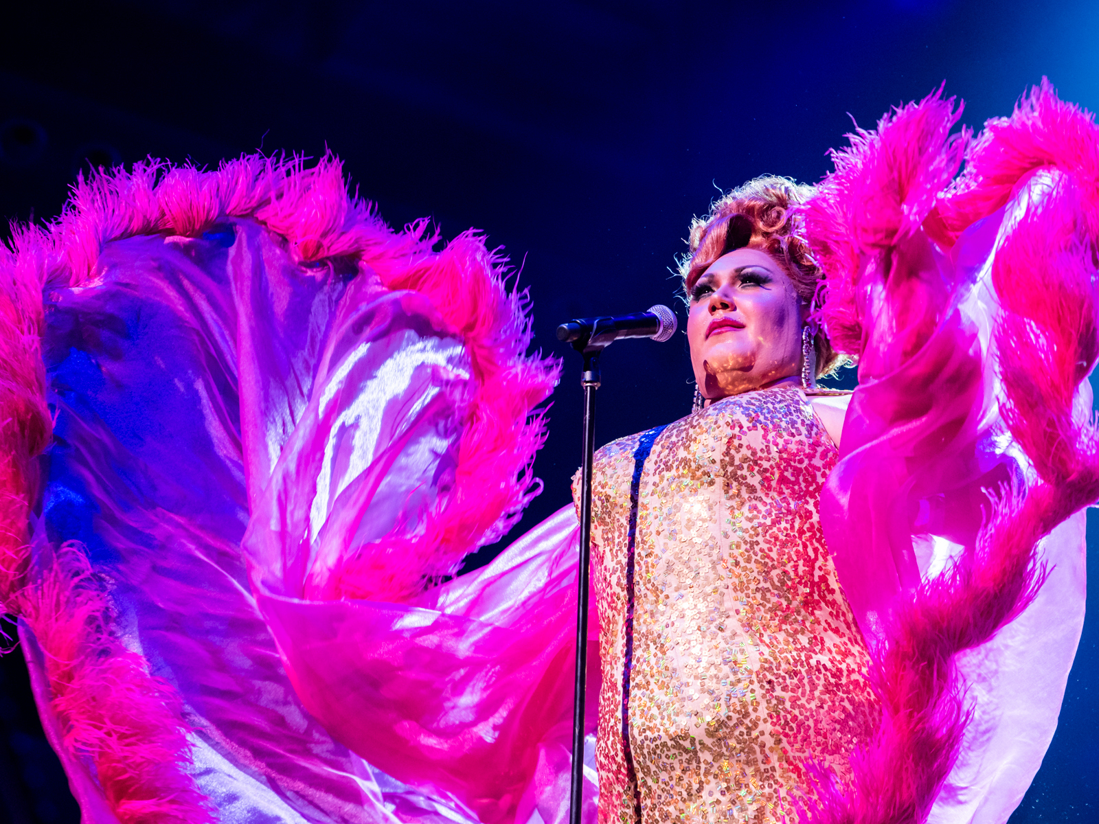 Trevor Ashley – Queen of the Moment: What to expect - 4