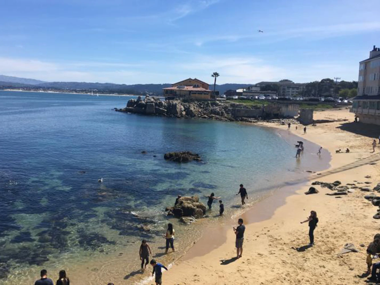 Monterey, Carmel & 17-Mile Full Day Tour: What to expect - 3