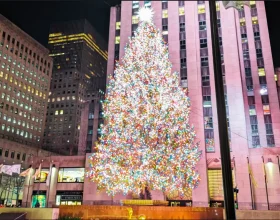 NYC Holiday Lights Tour: What to expect - 2