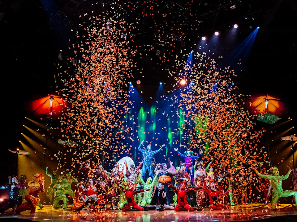 Cirque du Soleil - Ovo: What to expect - 1