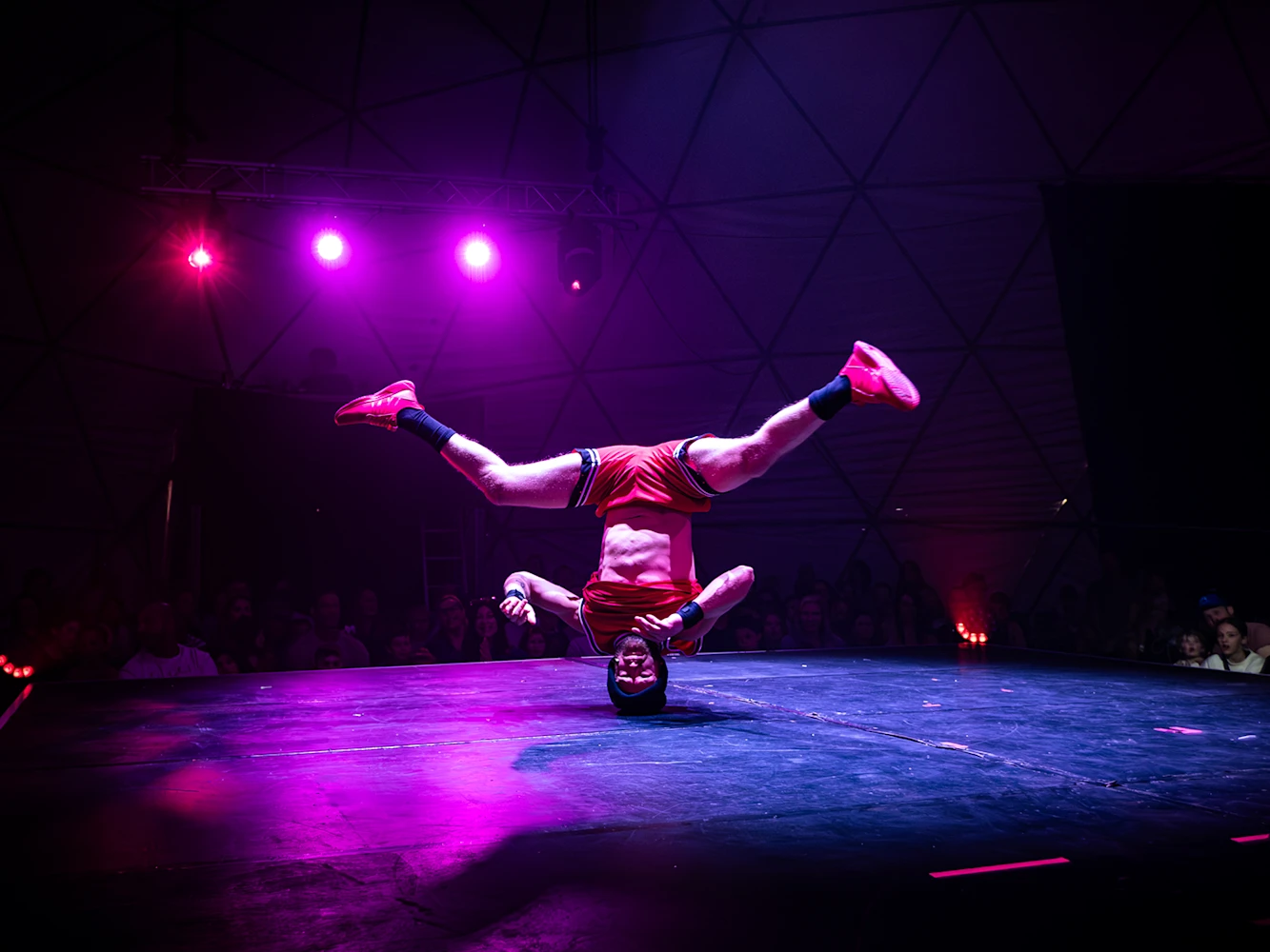 All Star Circus: What to expect - 1