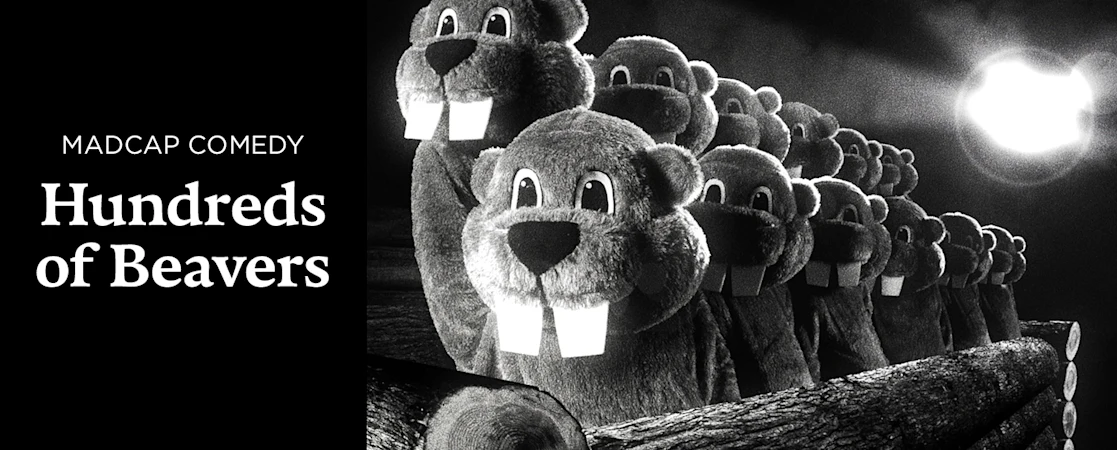Hundreds of Beavers