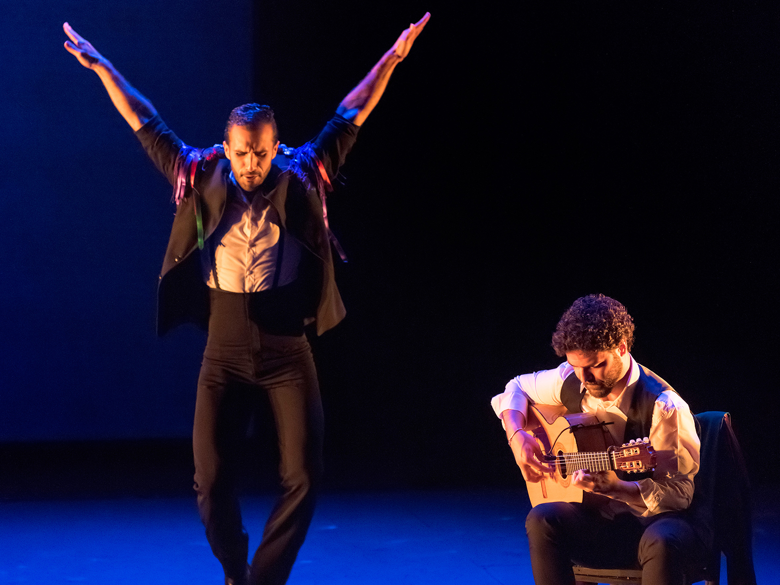 LO PRECISO: What to expect - 2