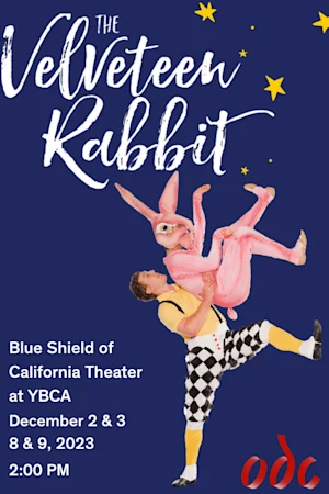The Velveteen Rabbit Tickets