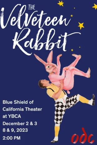 The Velveteen Rabbit Tickets