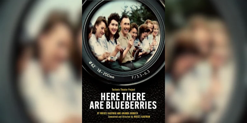 Here There Are Blueberries