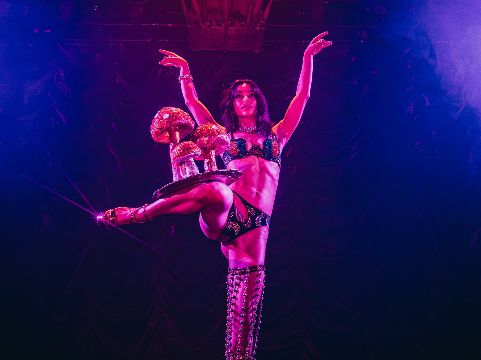 Queen of Hearts by Company XIV: What to expect - 5