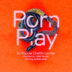Porn Play