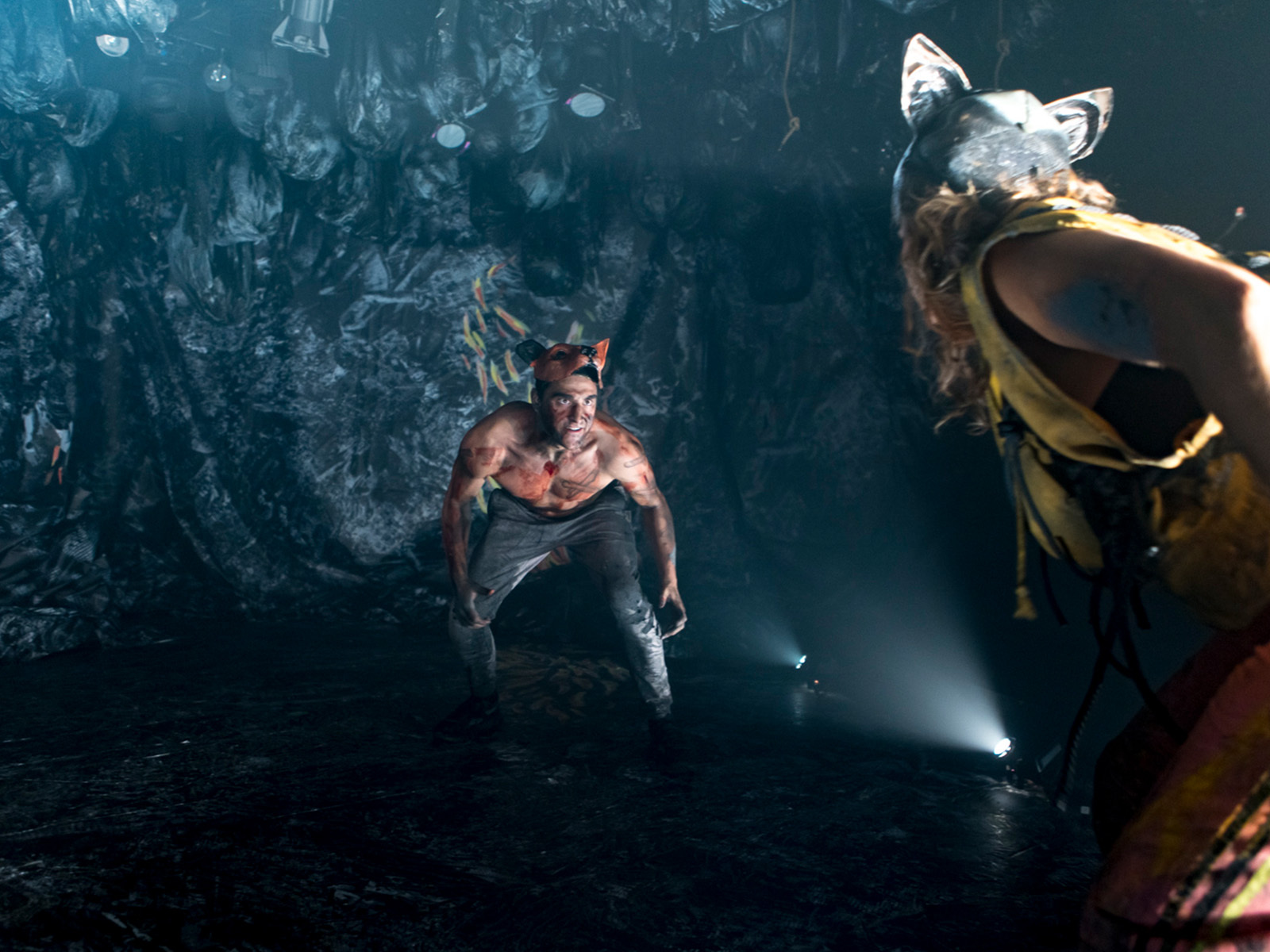 Dogged: What to expect - 2