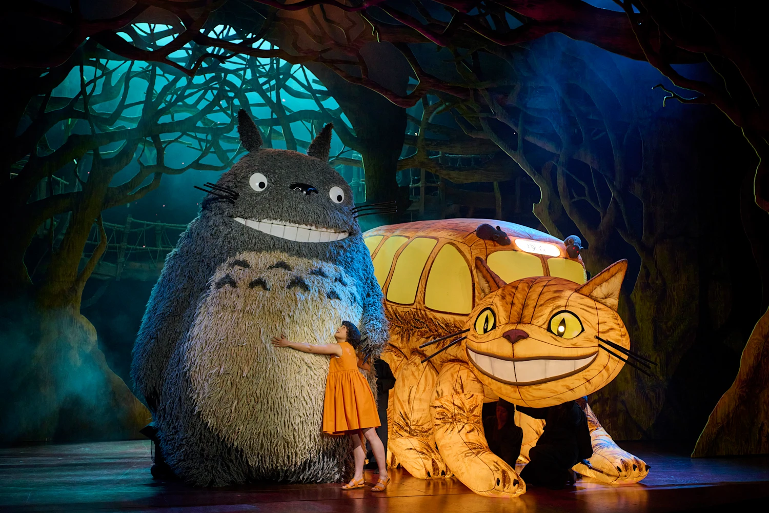 My Neighbour Totoro: What to expect - 1