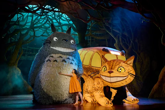 My Neighbour Totoro: What to expect - 2