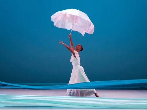 Alvin Ailey American Dance Theater: What to expect - 3