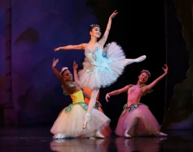 The Nutcracker American Repertory Ballet: What to expect - 3