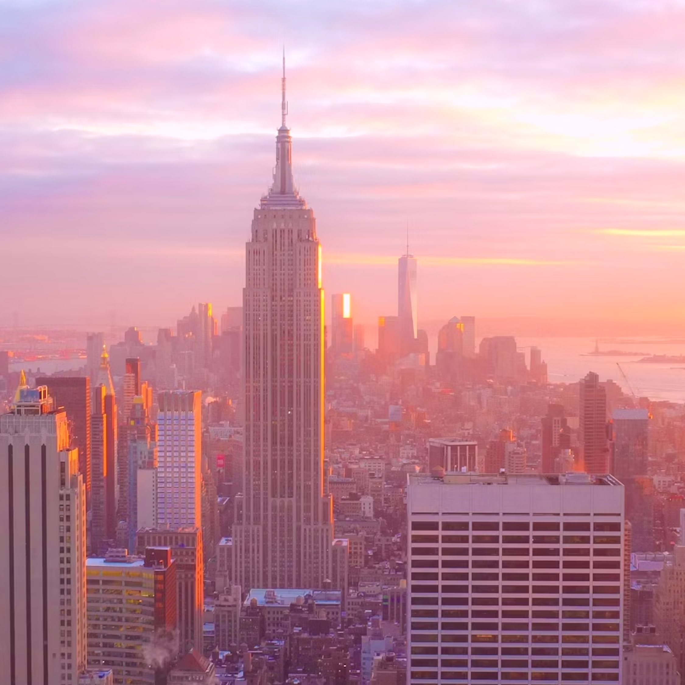 New Yorker's Top Picks