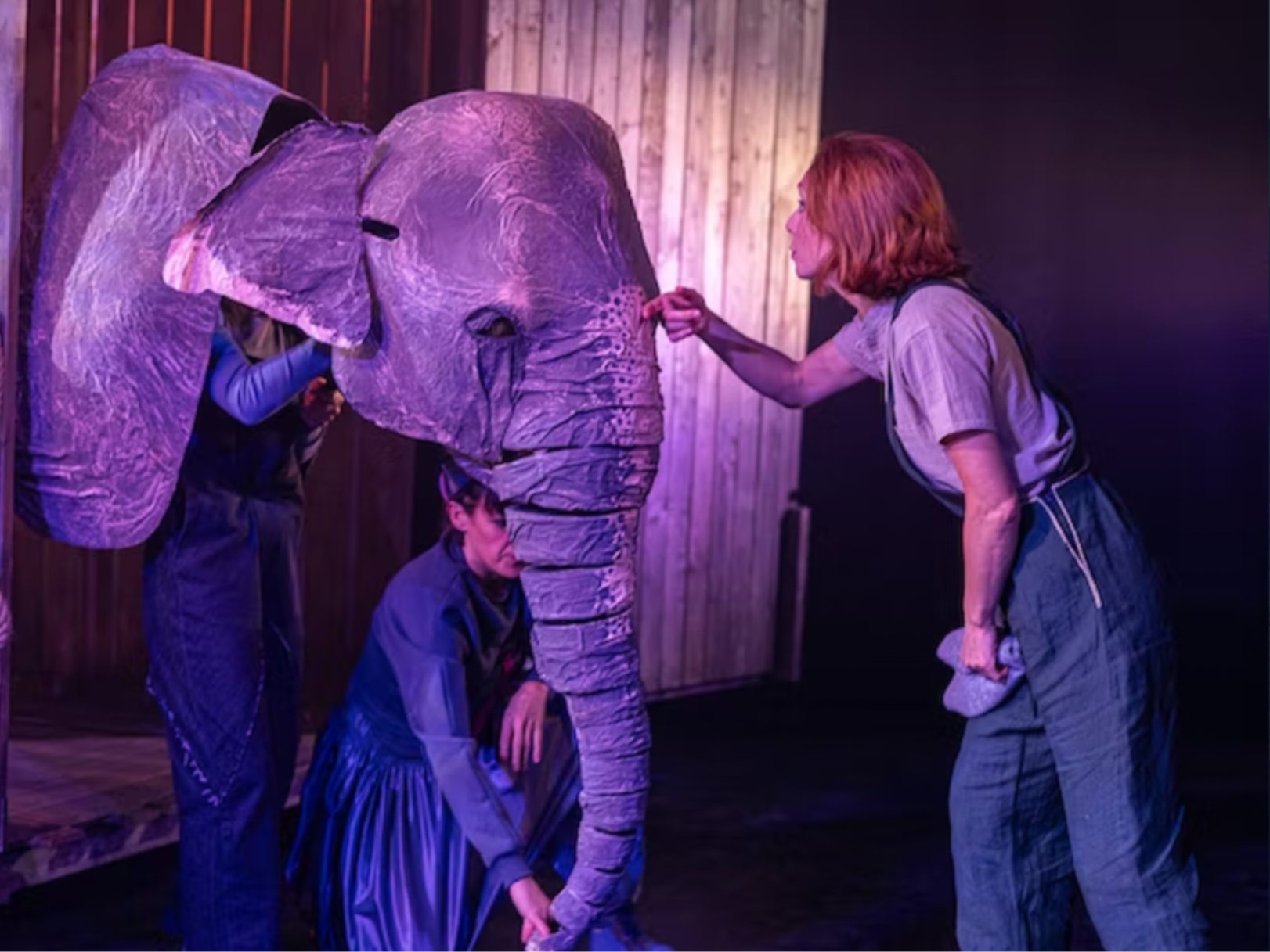 New Victory presents The Vanishing Elephant: What to expect - 4