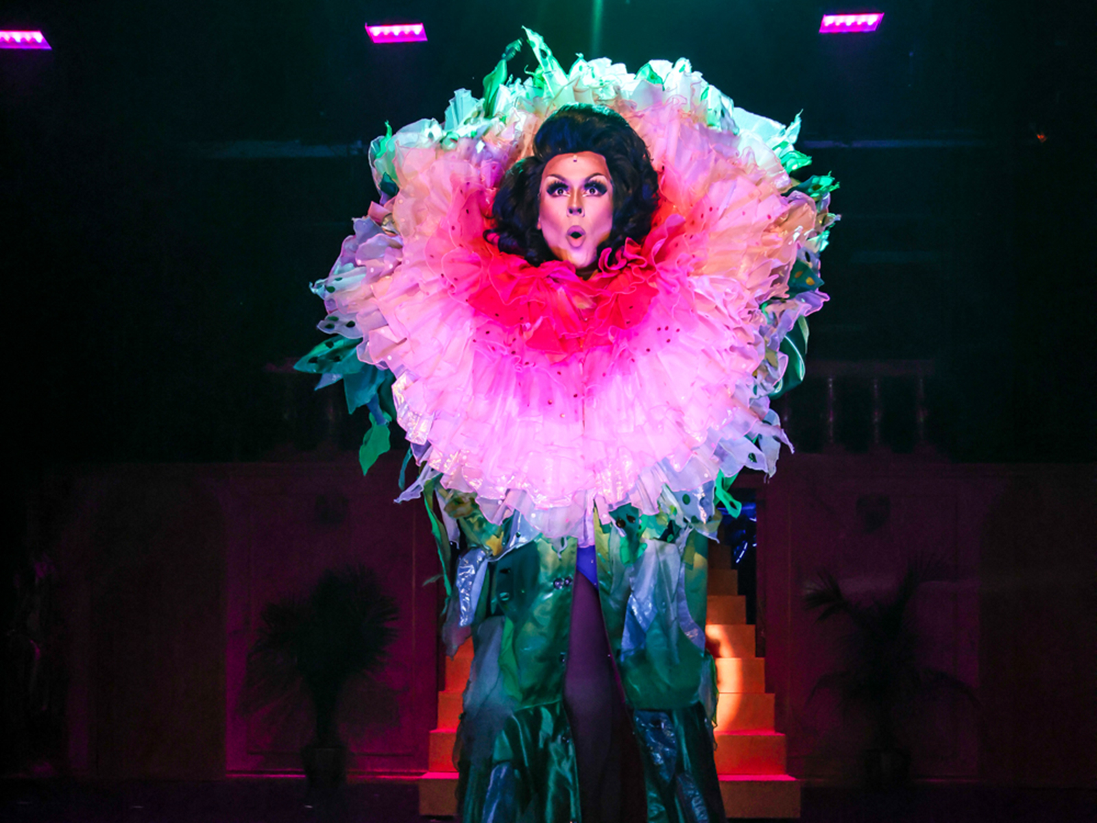 La Cage Aux Folles : What to expect - 2