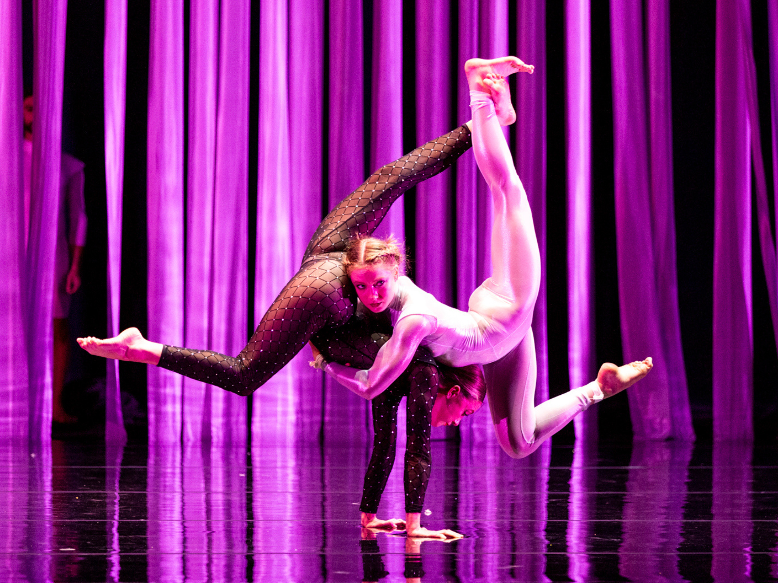 Duck Pond: What to expect - 3