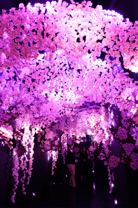 Blooming Wonders tickets Washington TodayTix
