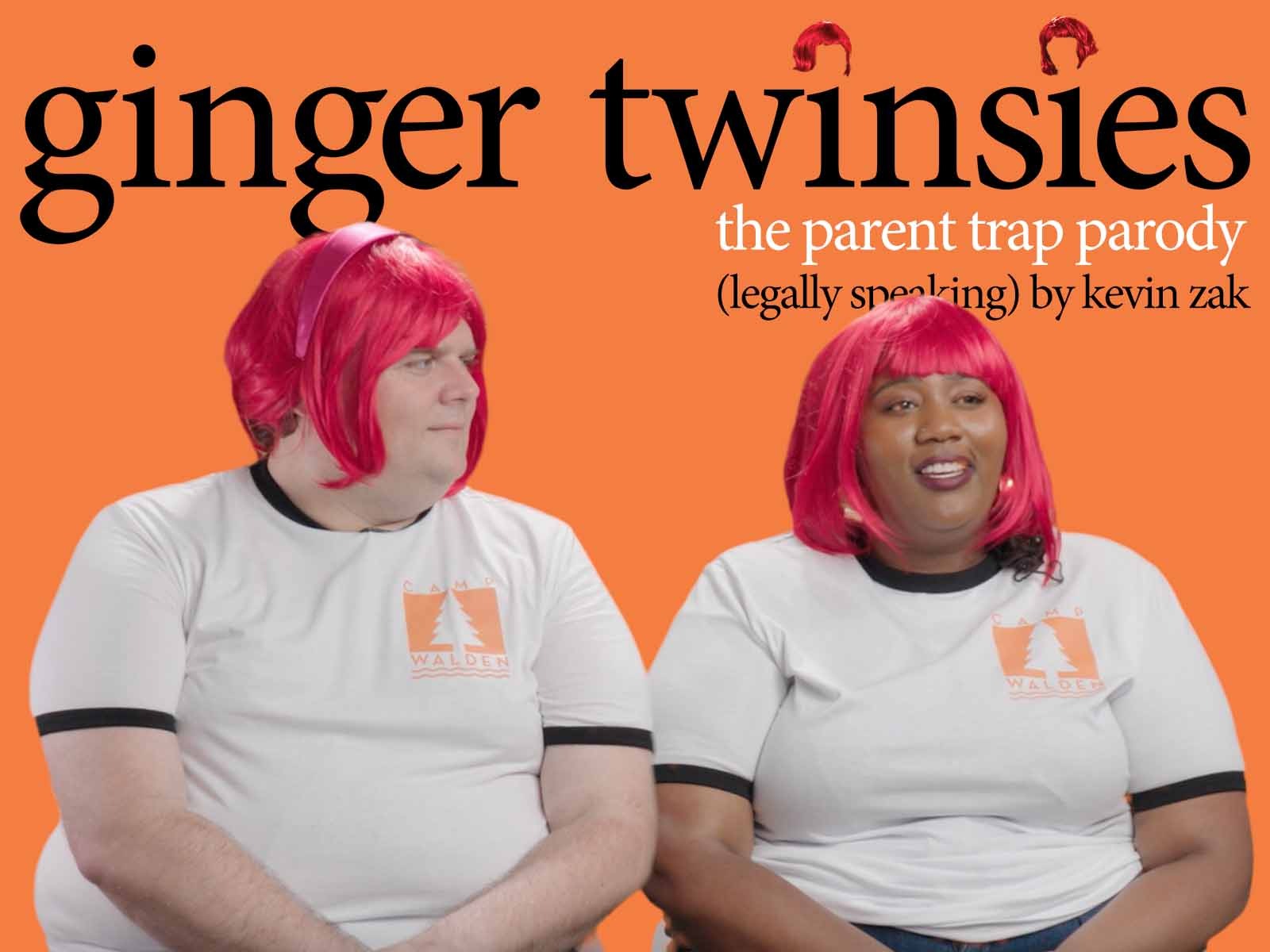 Ginger Twinsies: What to expect - 1
