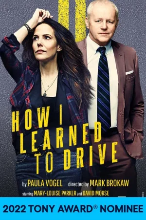 How I Learned to Drive on Broadway - NYC