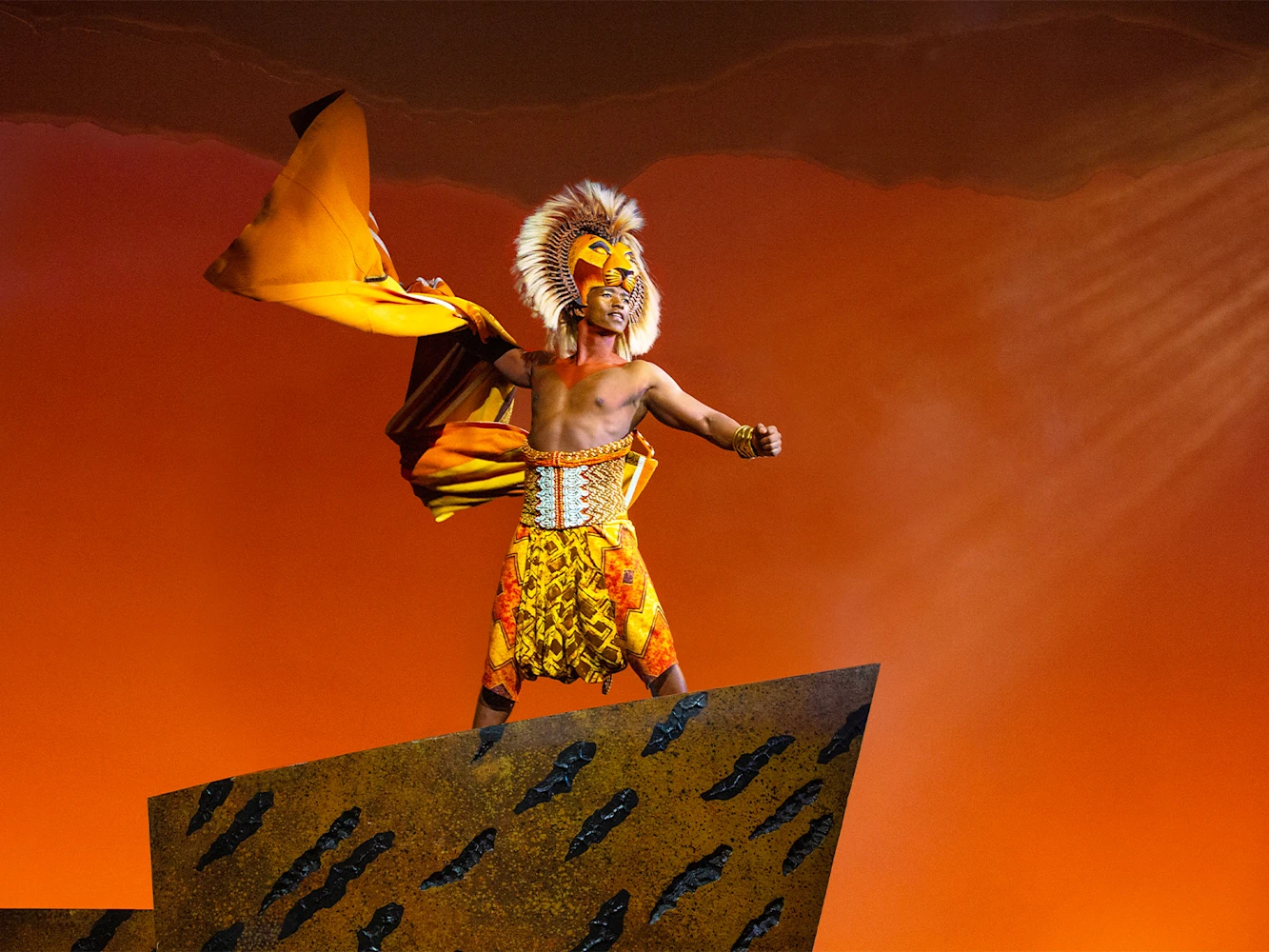 Disney's The Lion King: What to expect - 2