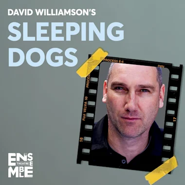SLEEPING DOGS