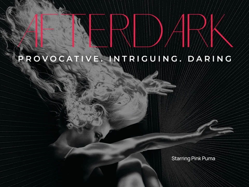 After Dark: Provocative. Intriguing. Daring.: What to expect - 1