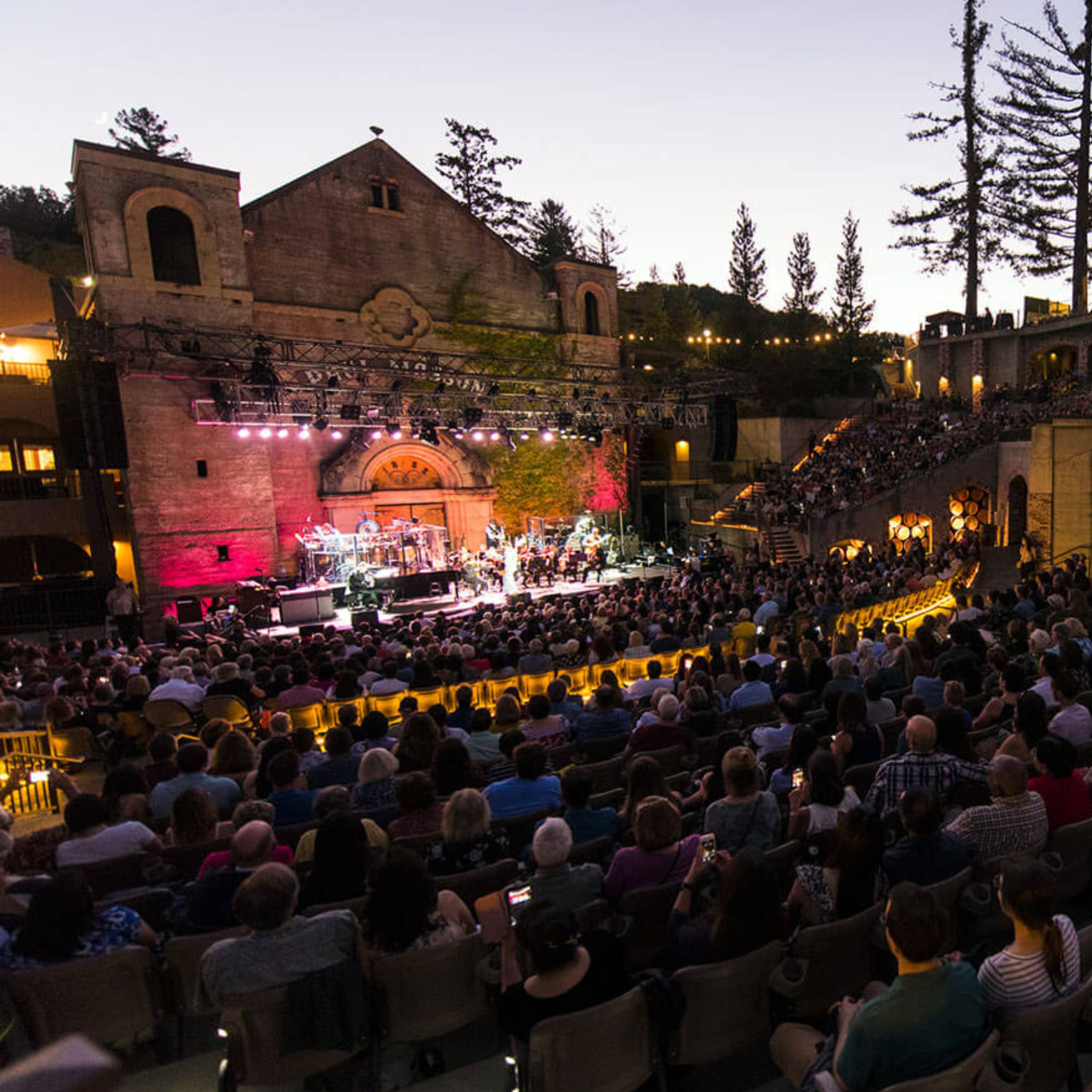The Mountain Winery