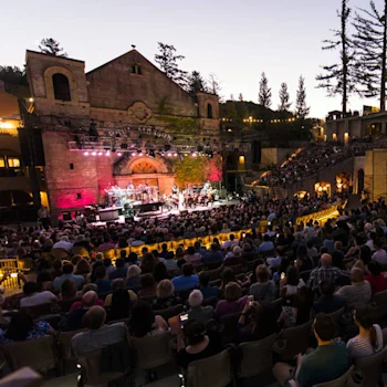 The Mountain Winery