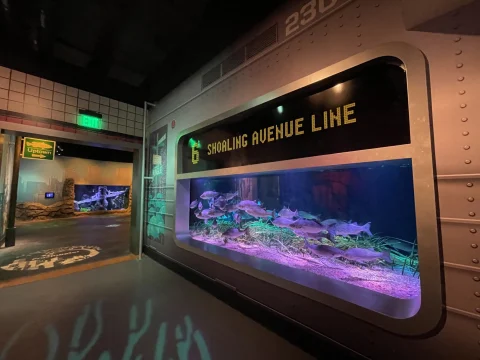 New Jersey SEA LIFE Aquarium: What to expect - 3