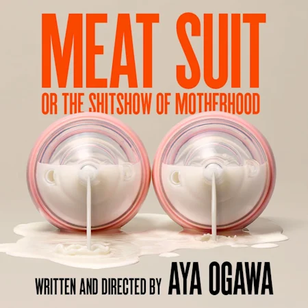 Meat Suit, or the s**tshow of motherhood