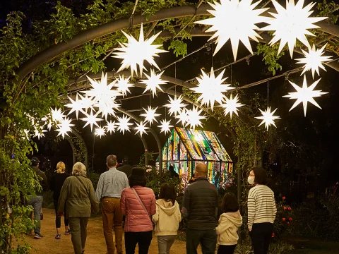 Descanso Gardens — Enchanted Forest of Light: What to expect - 3