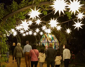 Descanso Gardens — Enchanted Forest of Light: What to expect - 2