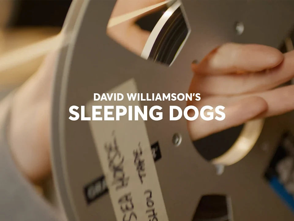 SLEEPING DOGS: What to expect - 1