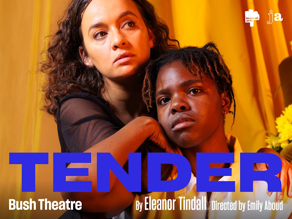 Tender: What to expect - 1