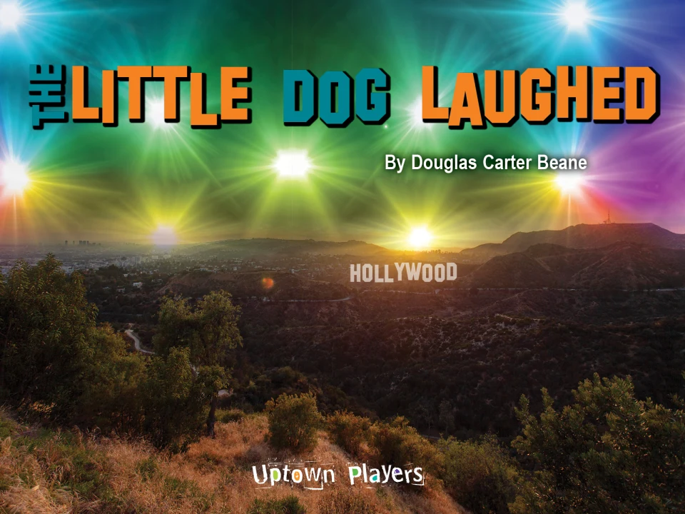 The Little Dog Laughed: What to expect - 1