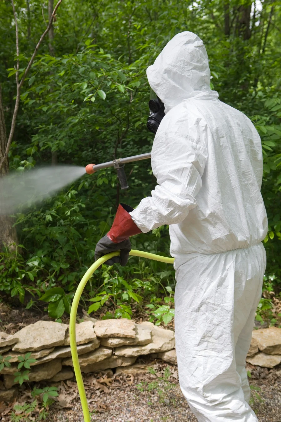 A person spraying their yard with acaricides