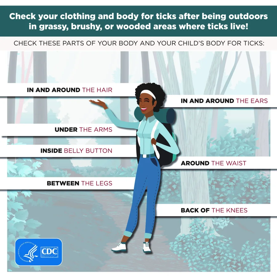 Graphic about where to check your clothing and body for ticks