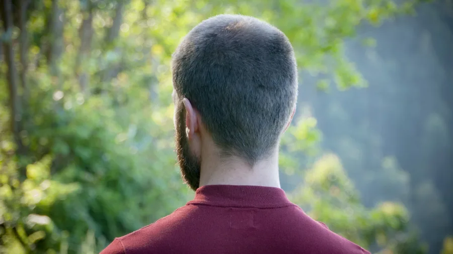 The back of a man's head, in the background there are trees